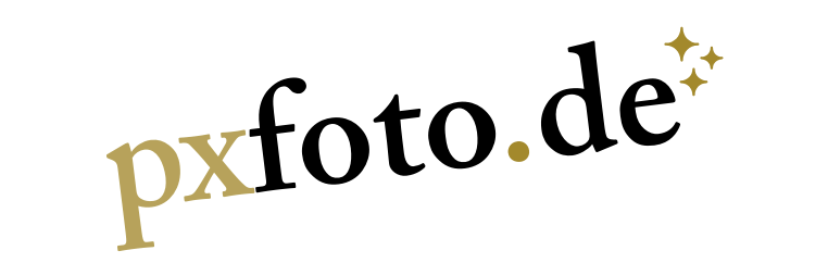 Web Logo