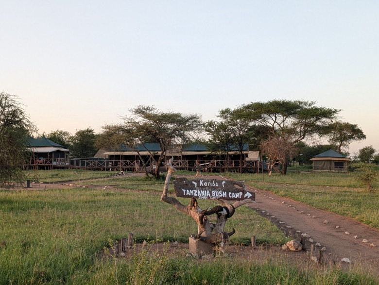 Tansania Bush Camp "Simba" Central Serengeti