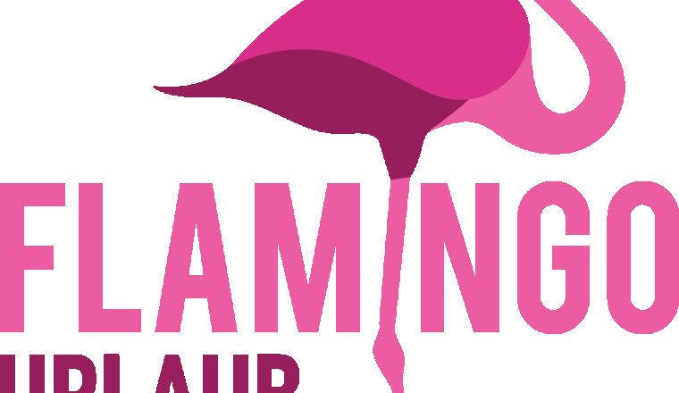 Traumhafter Safari-Urlaub dank flamingourlaub.de