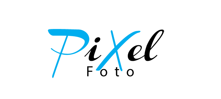 Web Logo